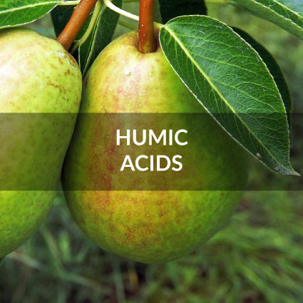 humic acids