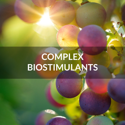complex biostimulants
