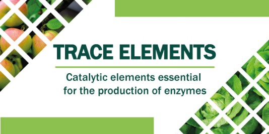 trace elements