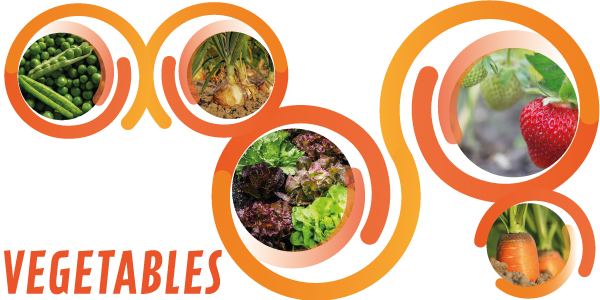 vegetables