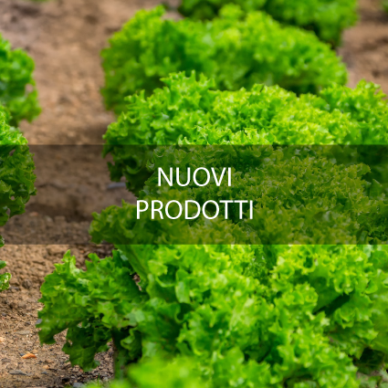 nuovi prodotti 2021